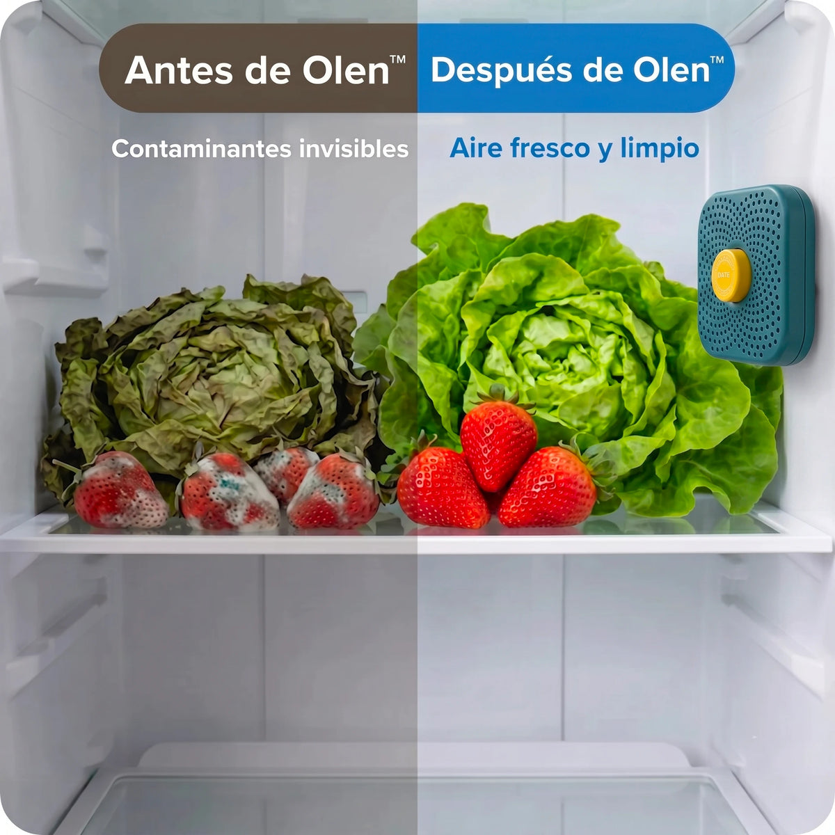 OLEN™ Purificador para frigorífico